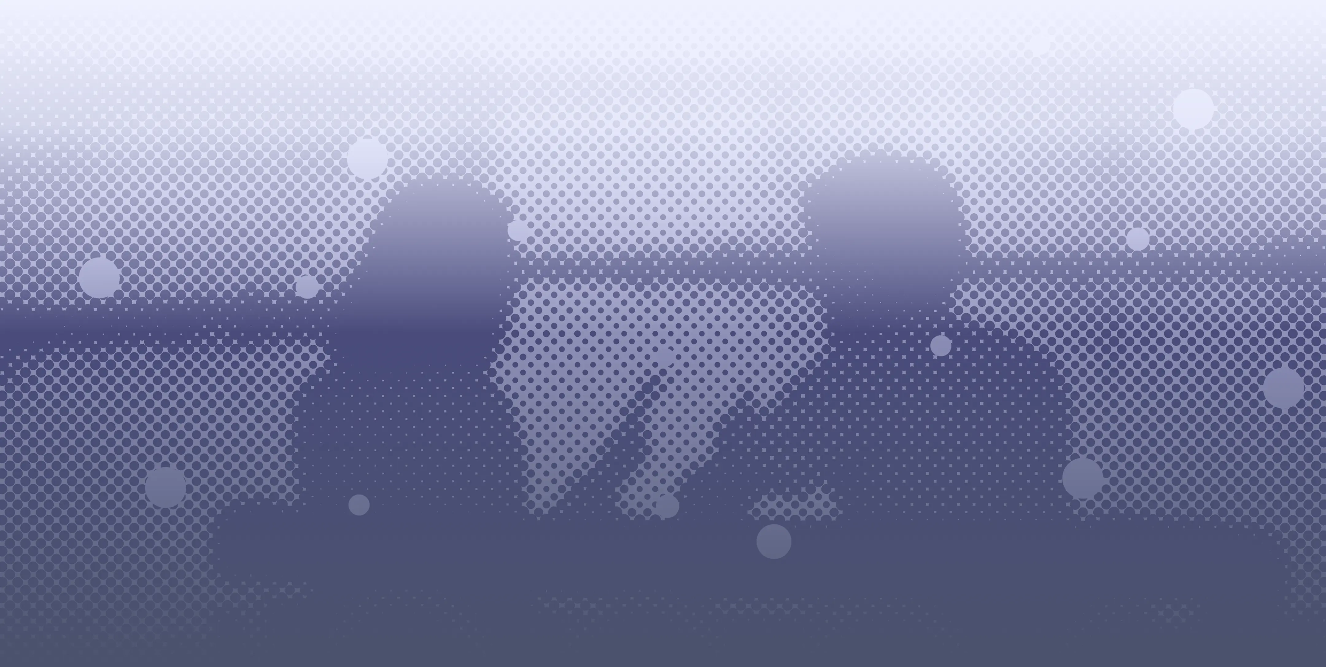 lgbtq+ friendly section